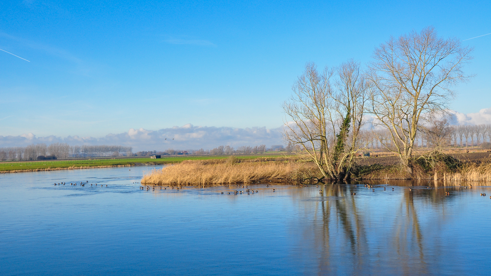 Magical Creeklands